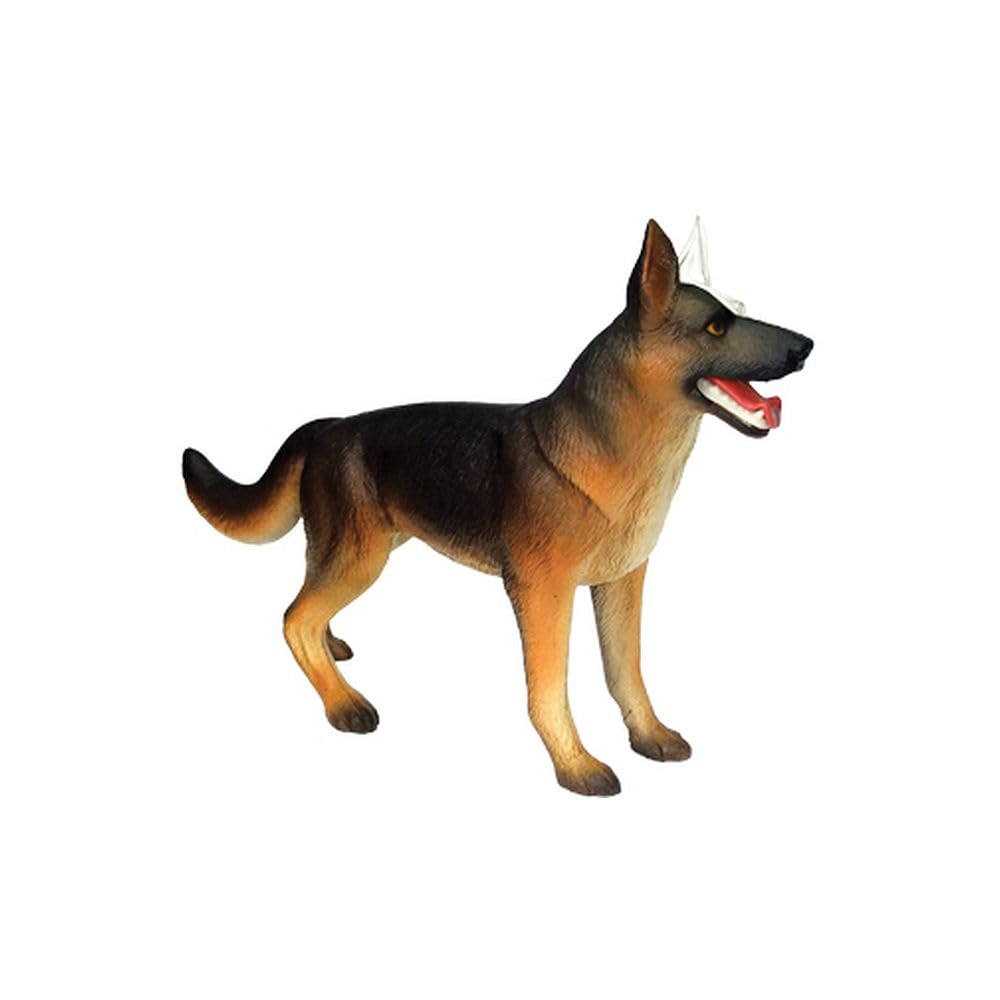 TEDCO 4D Vision Dog Anatomy Model – 28 Detachable Parts for Hands-On Learning