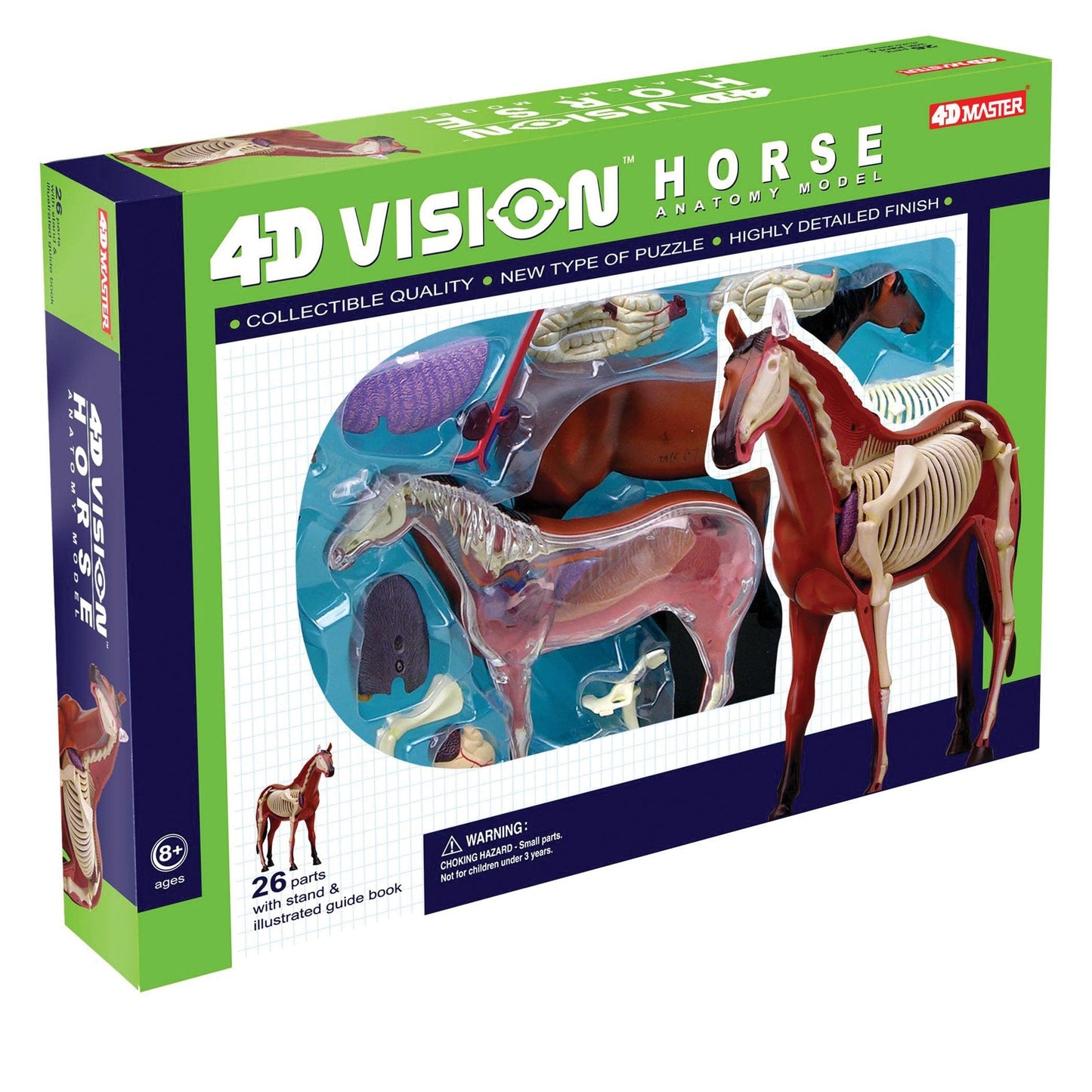 TEDCO 4D Vision Horse Model – 7-Inch Anatomy Kit with 25 Detachable Parts