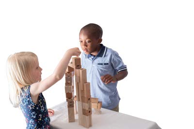 TEDCO Blocks & Marble Run for Kids 4+ | Handcrafted Hardwood Toy