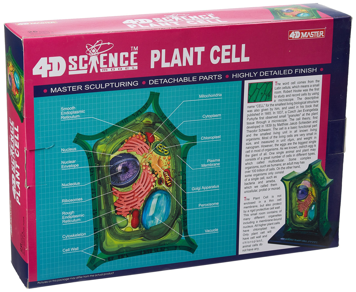 TEDCO Famemaster 4D Plant Cell Anatomy Model – 6-Inch with 24 Detachable Parts