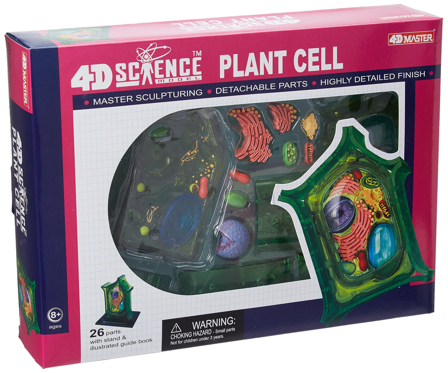 TEDCO Famemaster 4D Plant Cell Anatomy Model – 6-Inch with 24 Detachable Parts