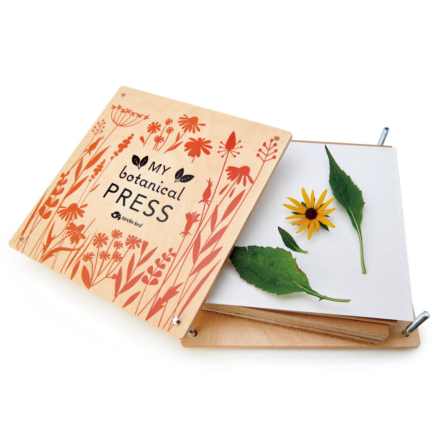Tender Leaf Toys My Botanical Press 8.3 x 8.3 Inch 10-Layer Flower Press for Kids 3+