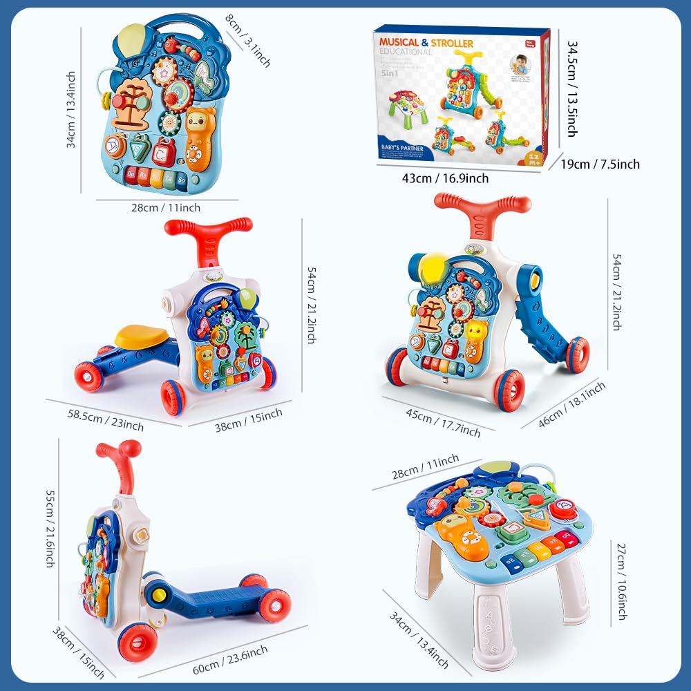 Terramus 5-in-1 Baby Walker: Sit-to-Stand Toy with 5 Modes for Toddlers 6–60 Months