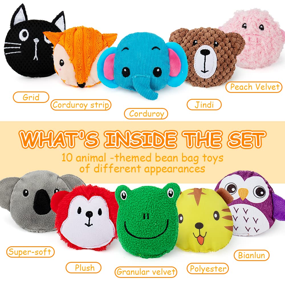 Teytoy Sensory Bean Bag Set – 10-Pack Texture Toys for Kids