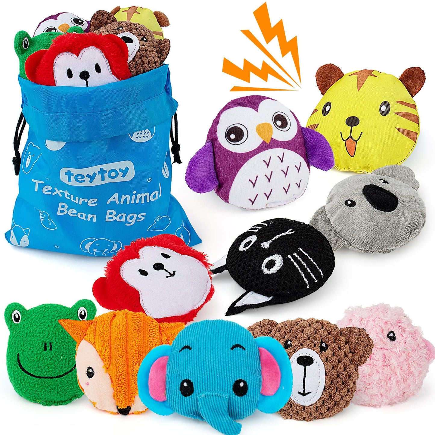 Teytoy Sensory Bean Bag Set – 10-Pack Texture Toys for Kids