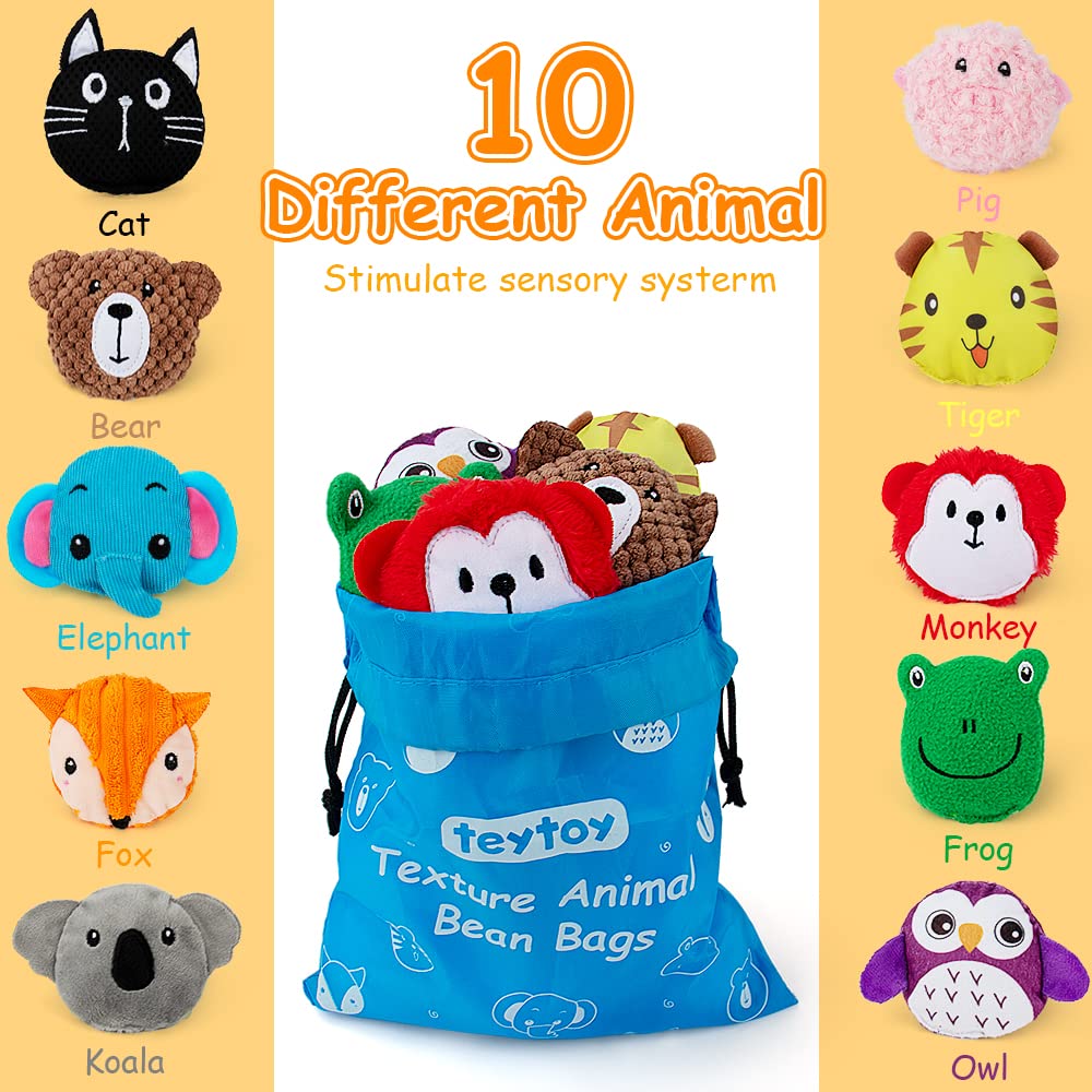 Teytoy Sensory Bean Bag Set – 10-Pack Texture Toys for Kids