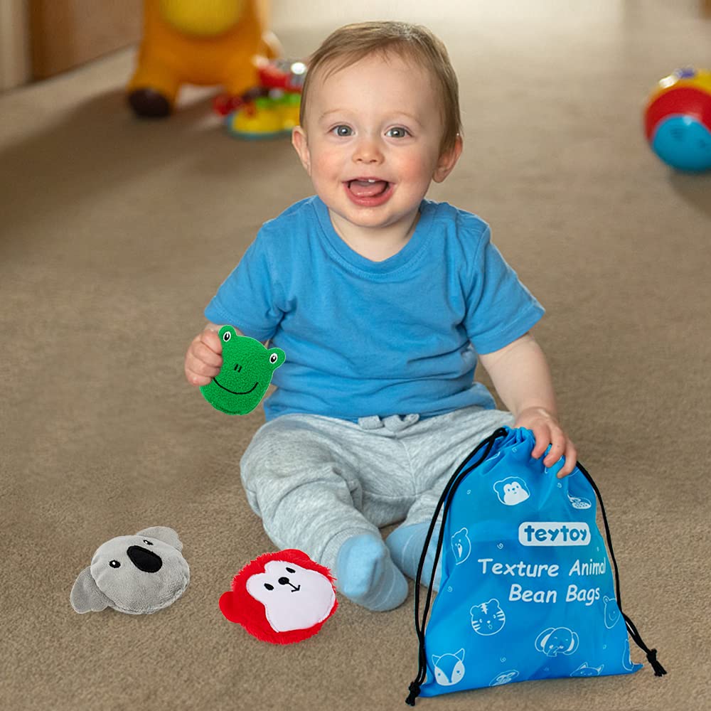 Teytoy Sensory Bean Bag Set – 10-Pack Texture Toys for Kids