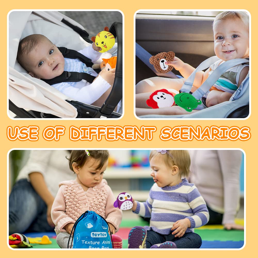 Teytoy Sensory Bean Bag Set – 10-Pack Texture Toys for Kids