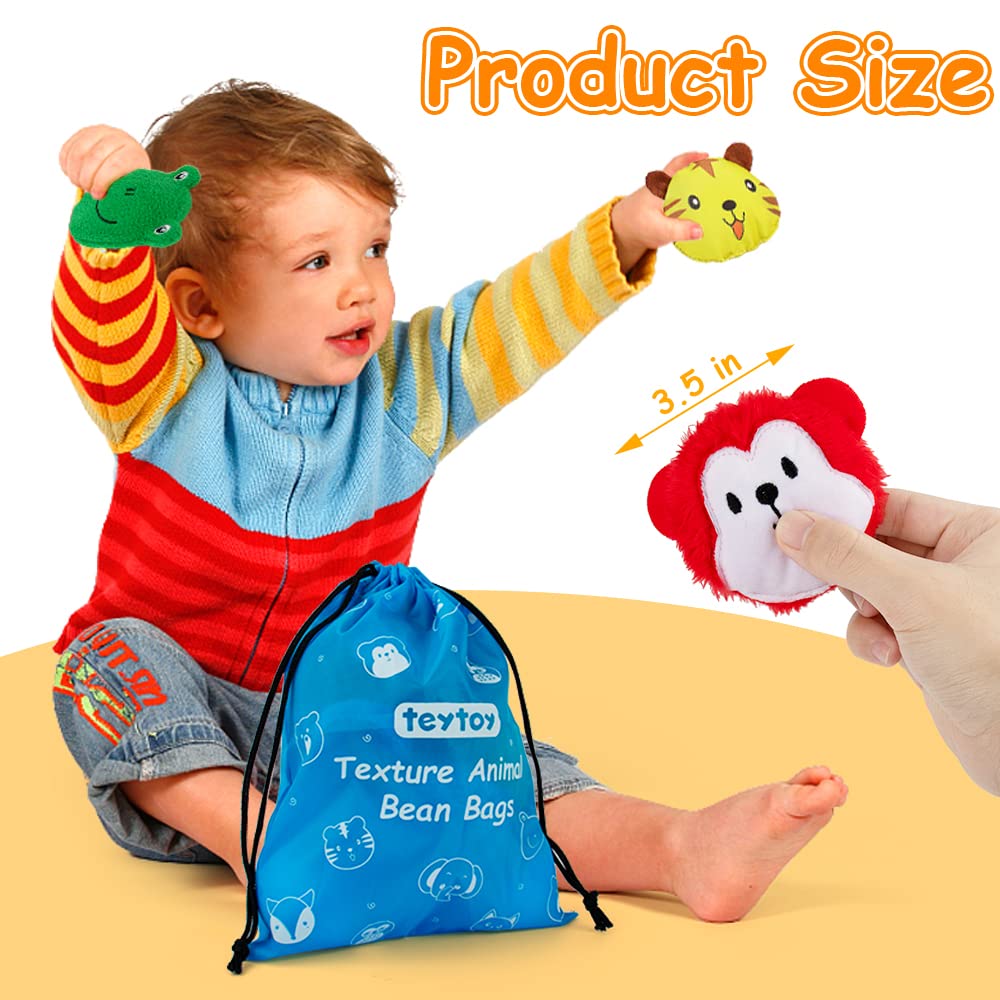 Teytoy Sensory Bean Bag Set – 10-Pack Texture Toys for Kids