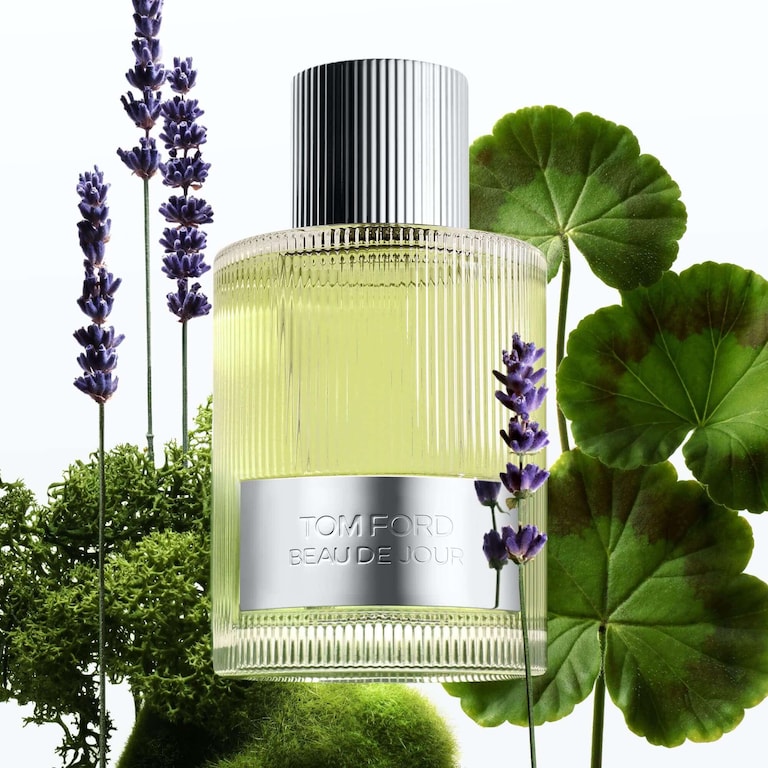 Tom Ford Beau de Jour Eau de Parfum 100ml Spray Men's Fragrance