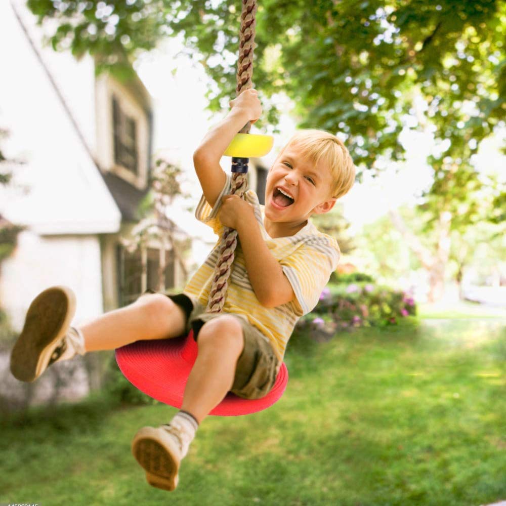 Tgzwme Climbing Rope Tree Swing with Platforms and Carabiner - Outdoor Kids Playground