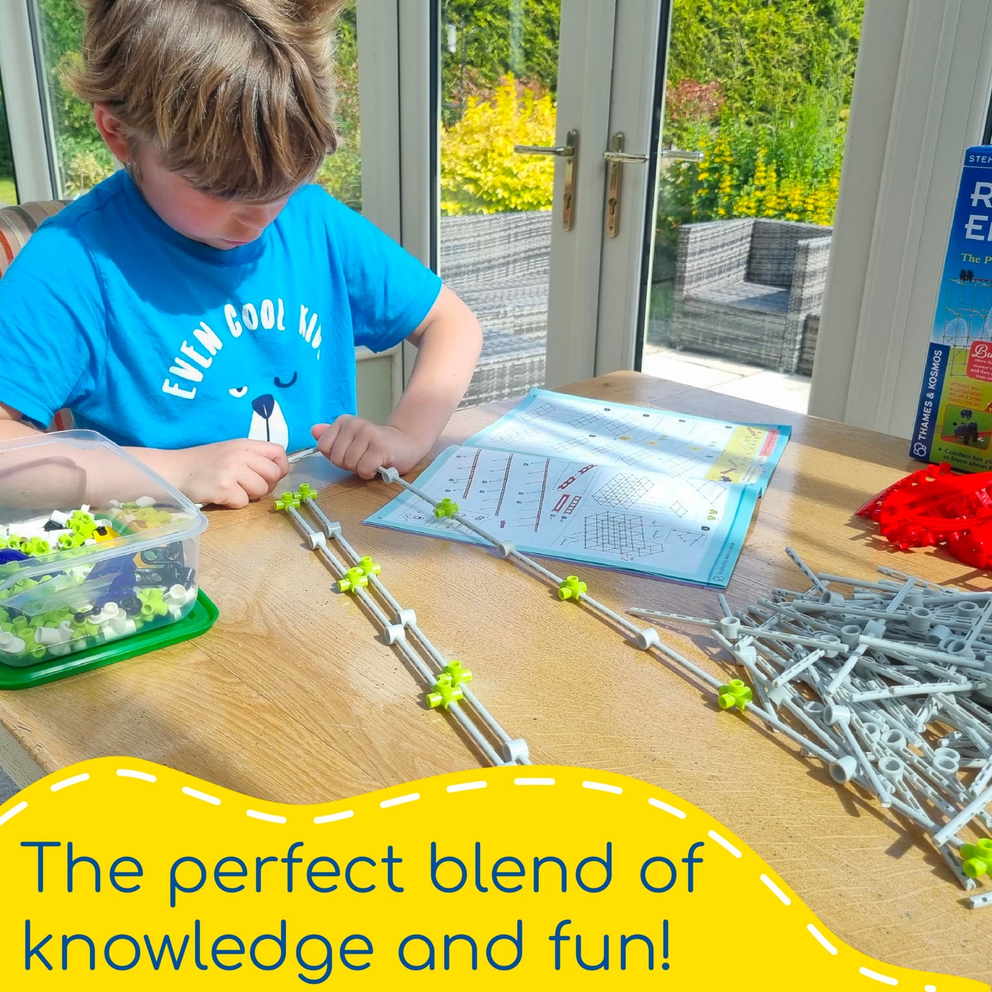 Thames & Kosmos Roller Coaster Engineering Kit | Build, Experiment & Explore Physics & Motion