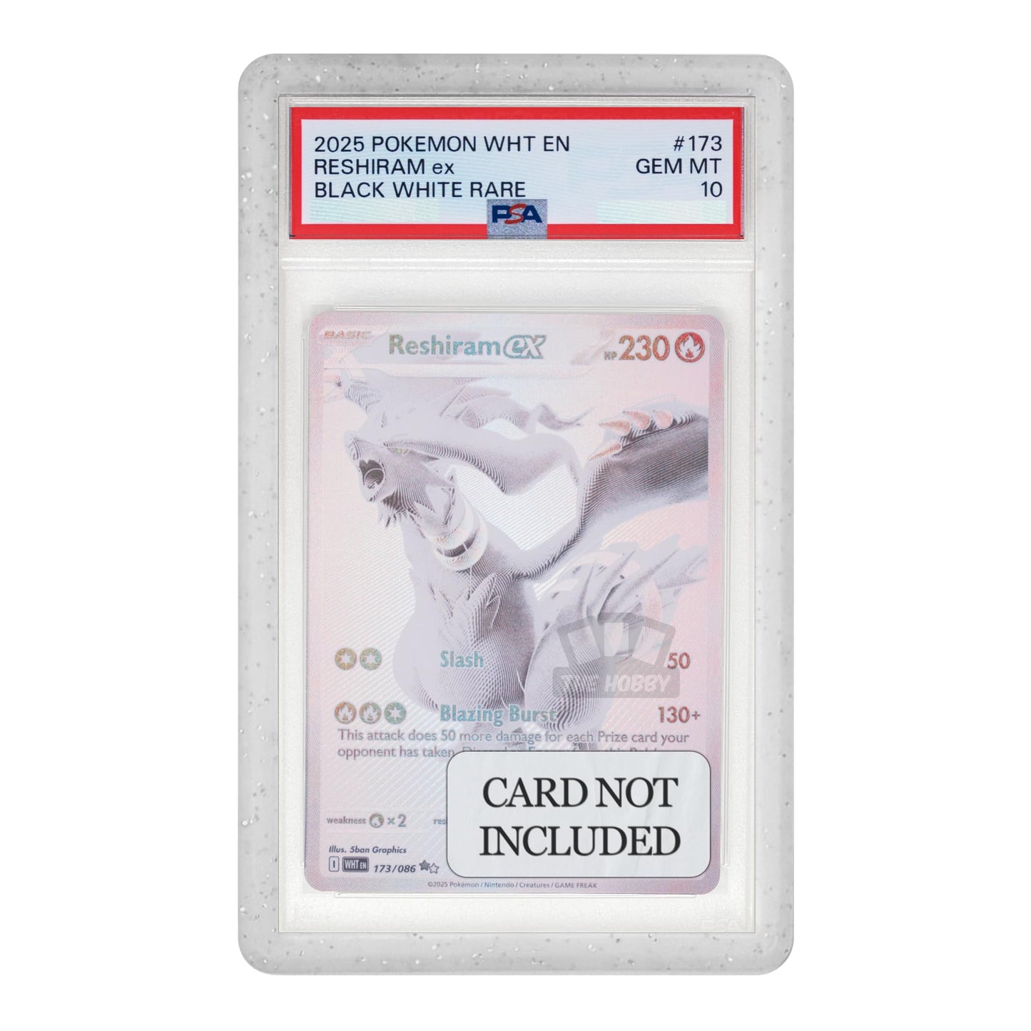 The Hobby Lair Slab Shield — Gradient Edge Protector for PSA Slabs (1 Pack Frost)