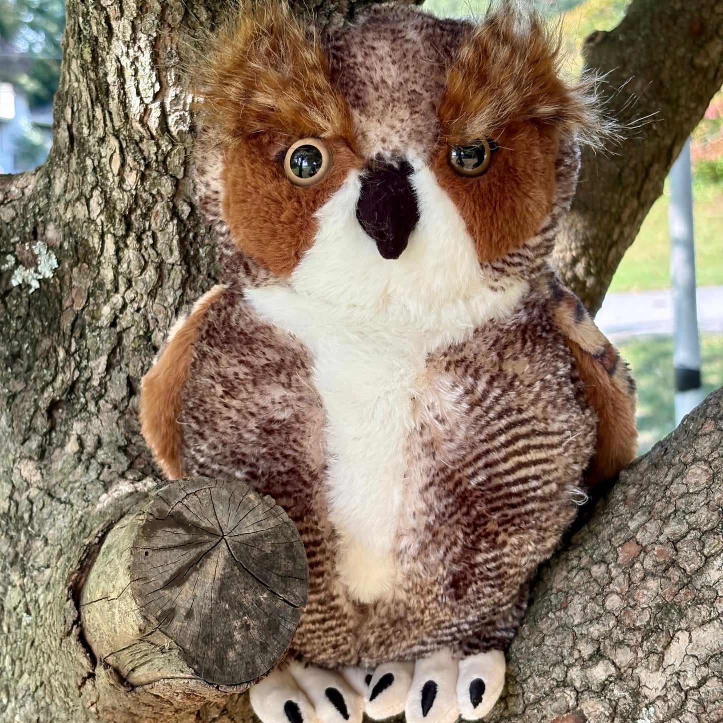 The Petting Zoo Horned Owl Plush Toy – 12-Inch Cuddly Gift for Kids