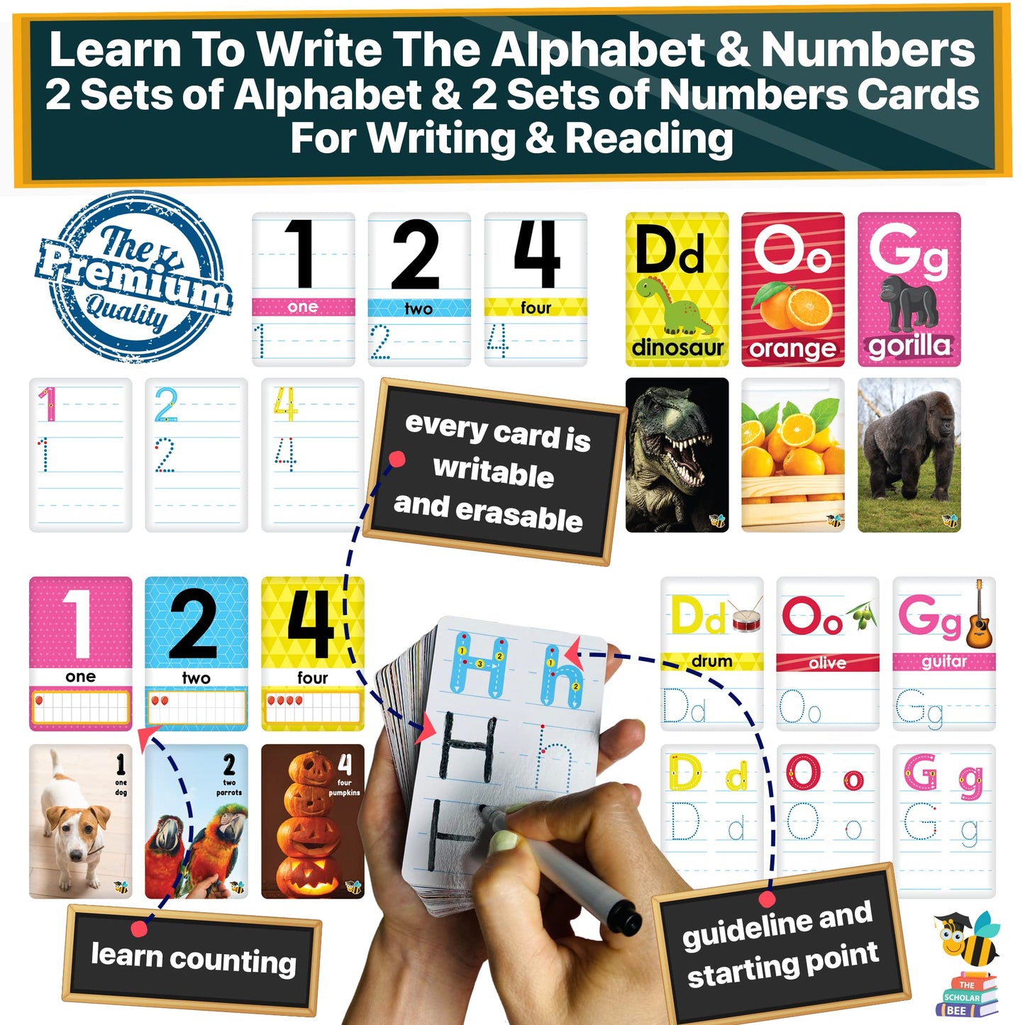 The Scholar Bee Flash Cards for Toddlers 2-4 – Jumbo Box with Real Pictures