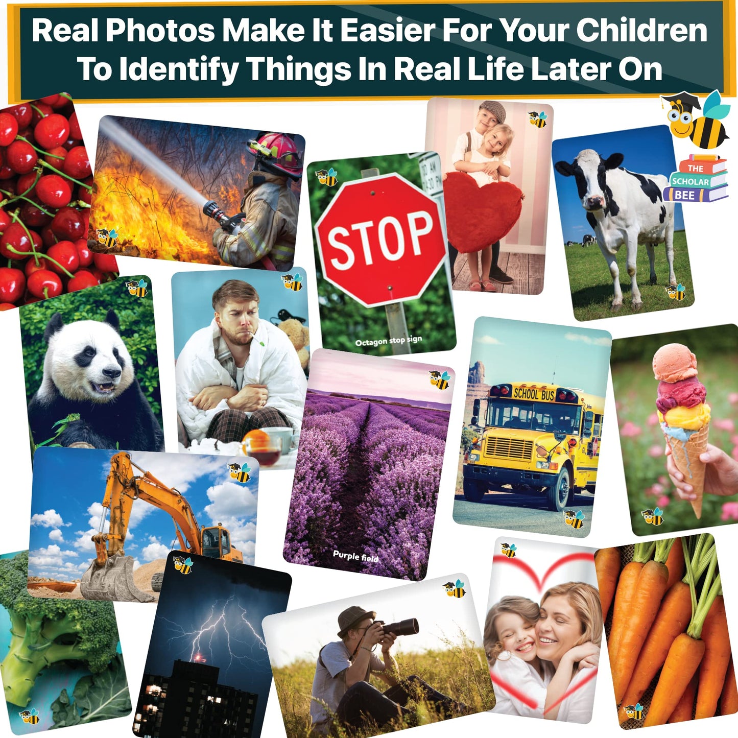 The Scholar Bee Flash Cards for Toddlers 2-4 – Jumbo Box with Real Pictures
