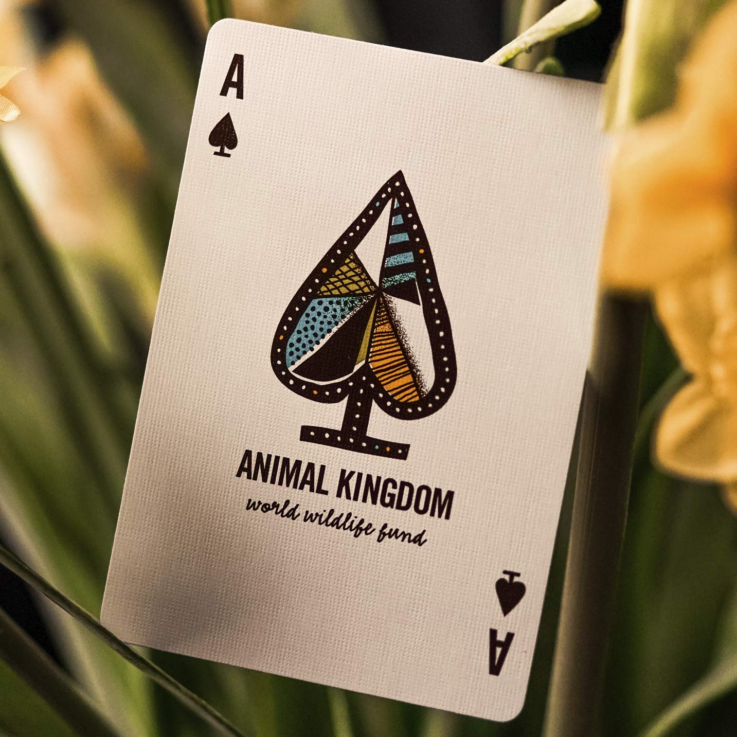 Animal Kingdom Playing Cards by Theory11 — WWF Edition with Hand-Illustrated Art