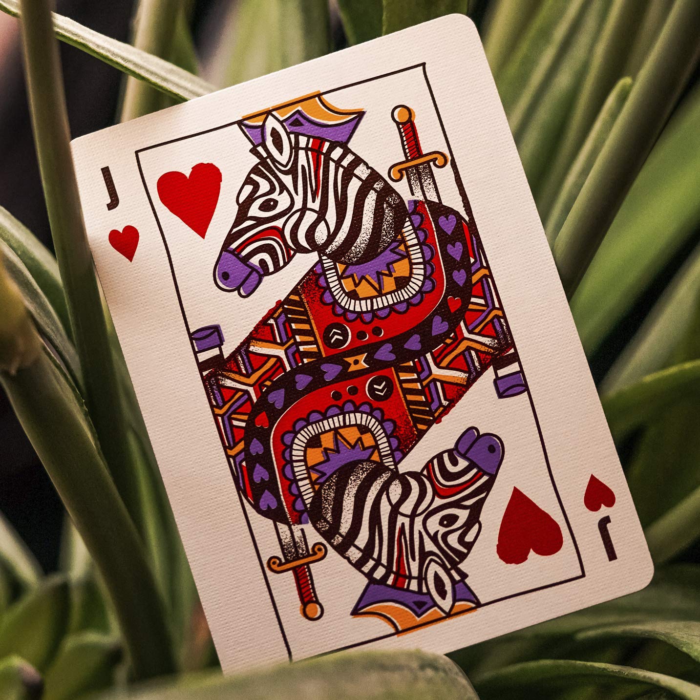 Animal Kingdom Playing Cards by Theory11 — WWF Edition with Hand-Illustrated Art