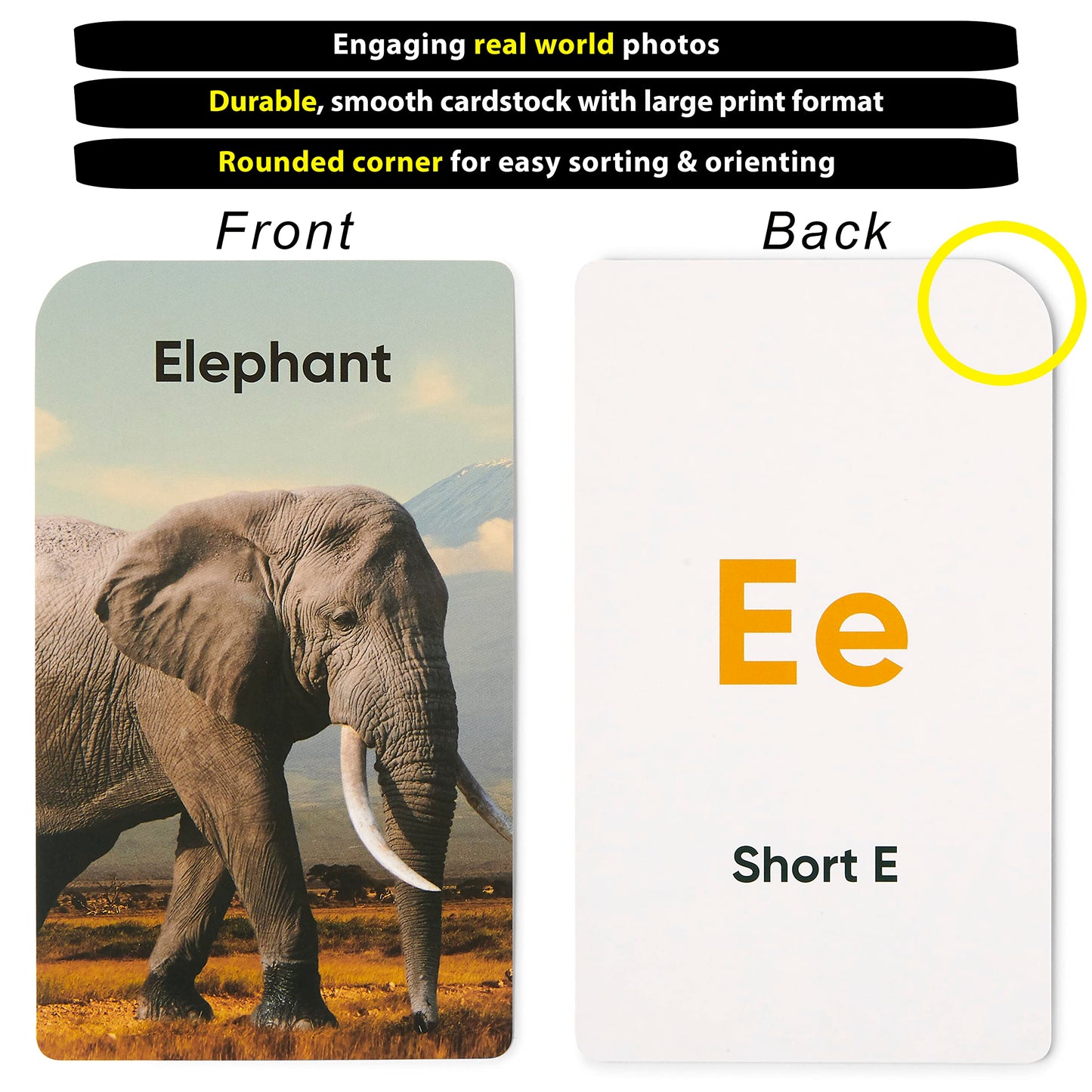 Think Tank Scholar: Award-Winning 5-Deck Jumbo Flash Cards for Preschool & Kindergarten
