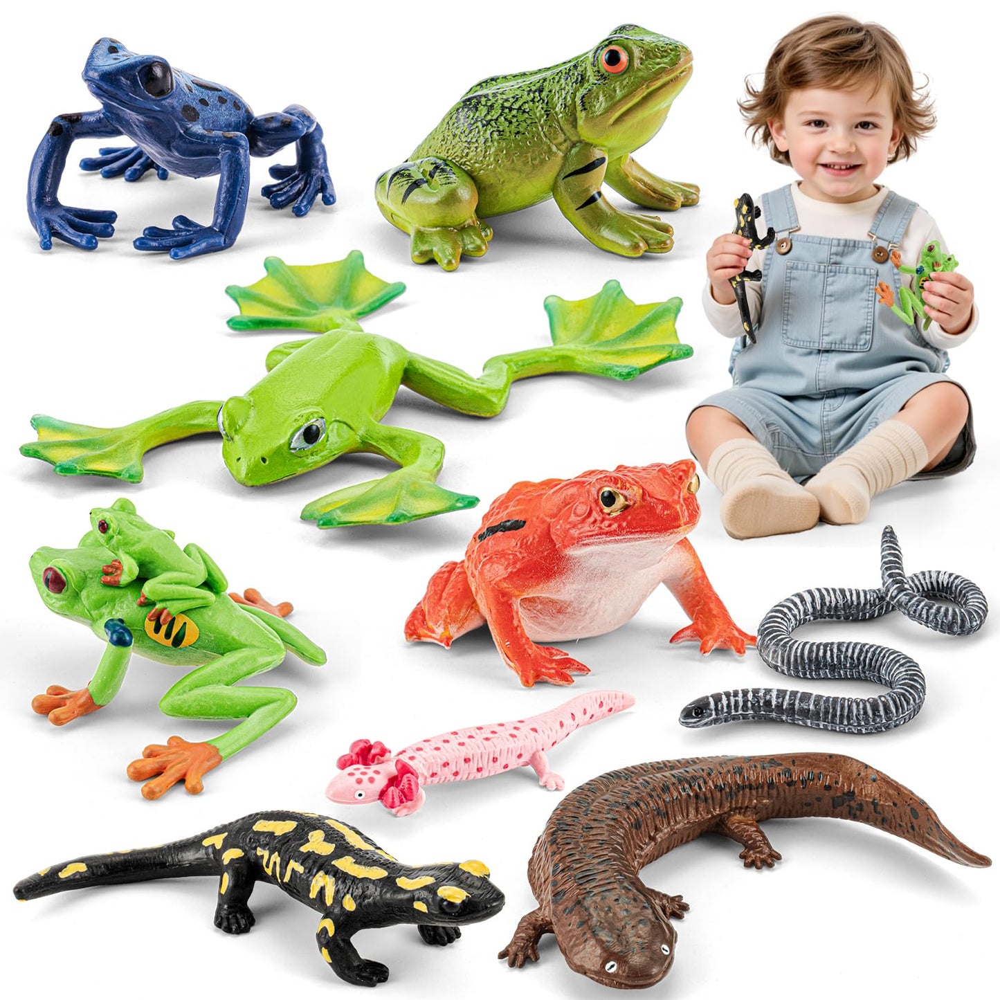 THINKBAY 9PCS Amphibian Figures – Realistic Rainforest Toys for Kids, Classroom Play & Party Favors