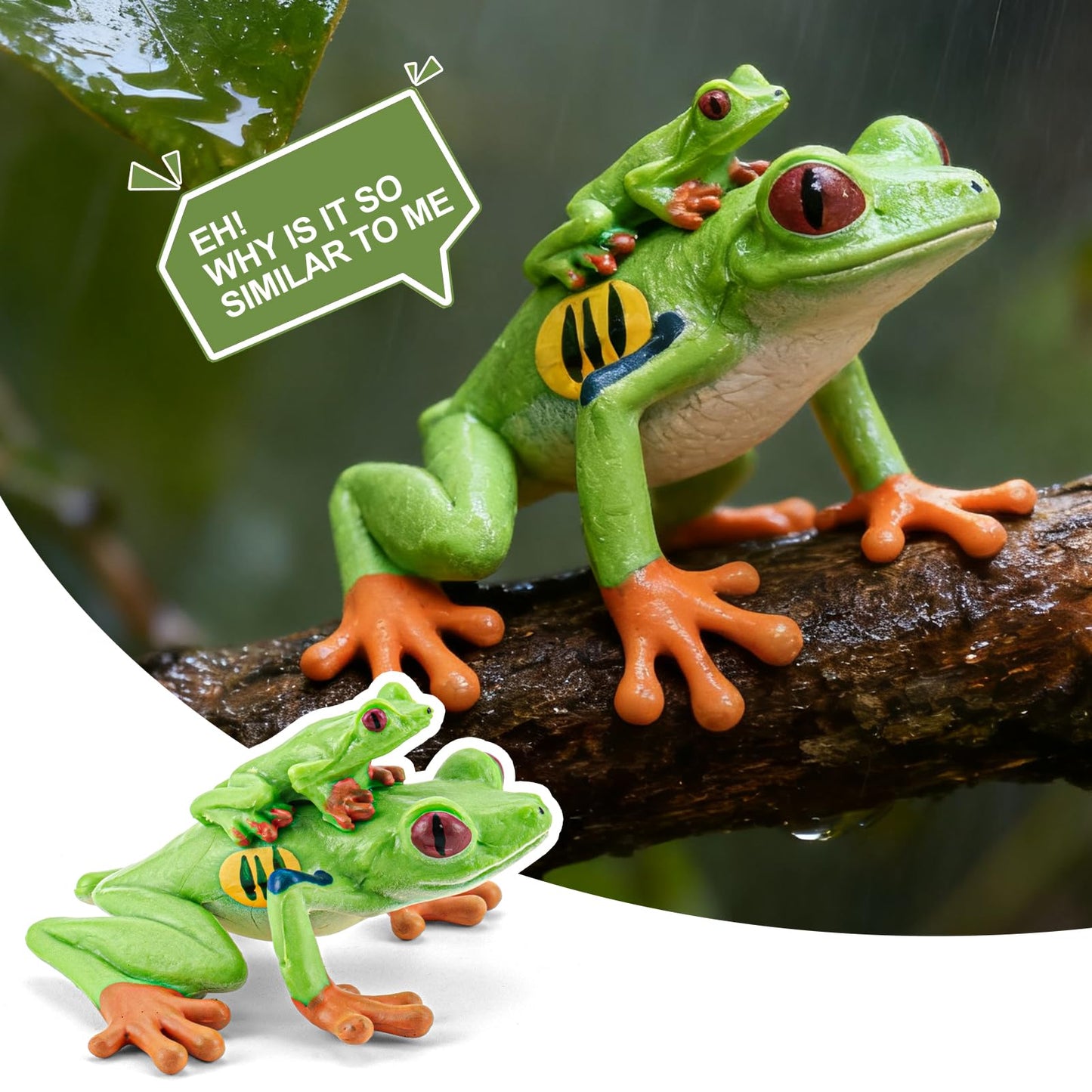 THINKBAY 9PCS Amphibian Figures – Realistic Rainforest Toys for Kids, Classroom Play & Party Favors