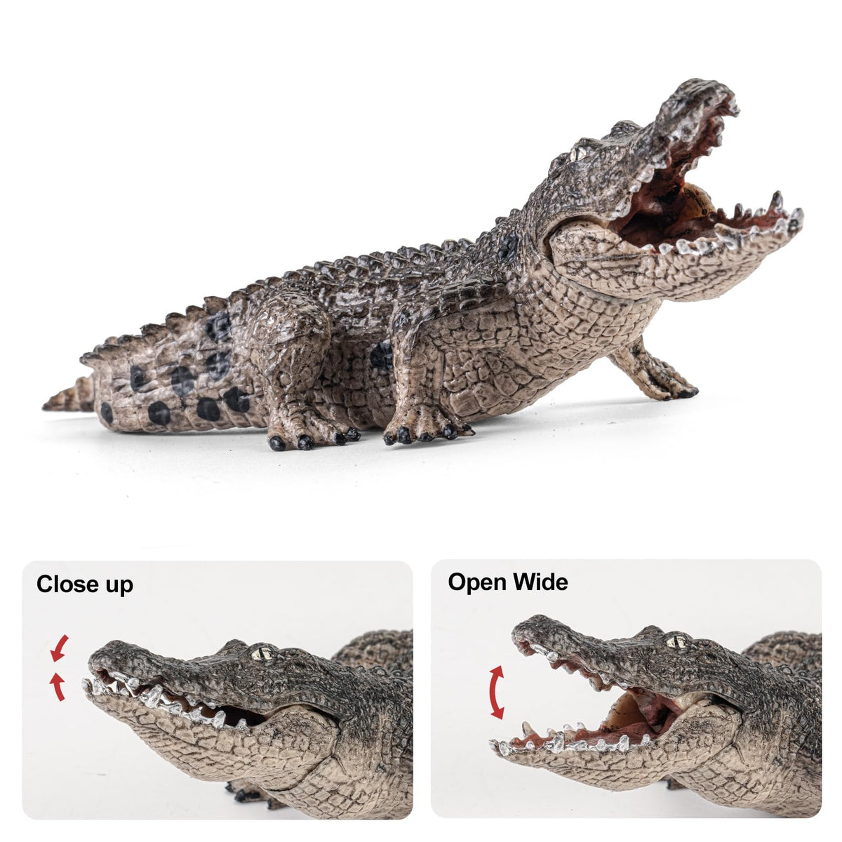 THINKBAY 4PCS Safari Crocodile Toy Figures – Realistic Alligators, Caiman & Nile Crocodile for Kids