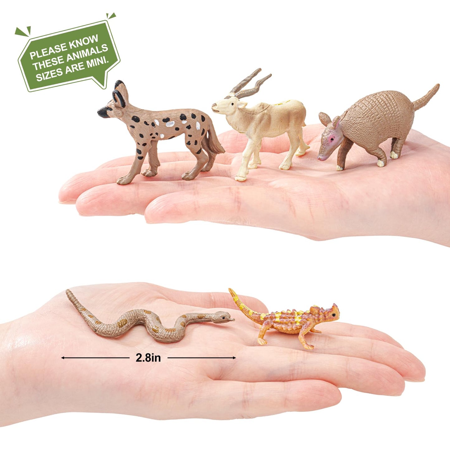 THINKBAY 16Pcs Desert Animals Figures for Kids – Safe Lizard, Camel, Cobra & Cactus Diorama Toys