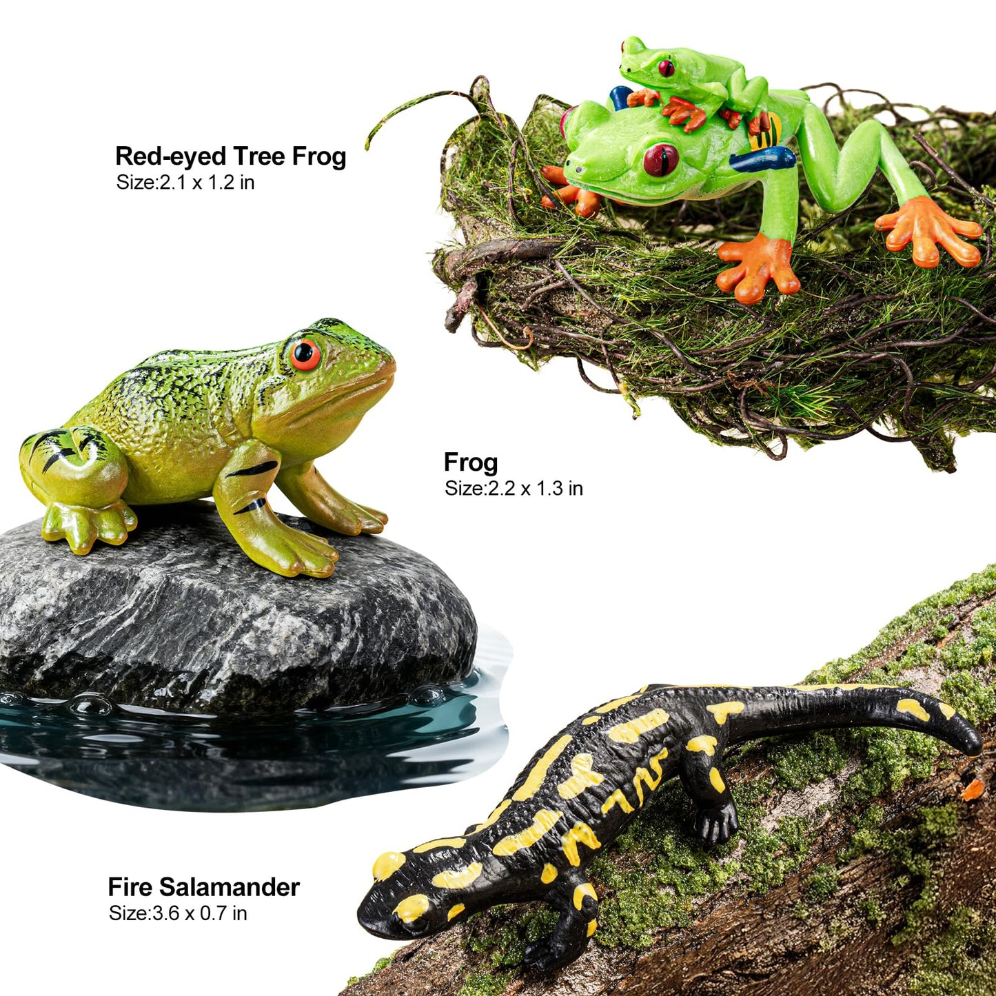 THINKBAY 9PCS Amphibian Figures – Realistic Rainforest Toys for Kids, Classroom Play & Party Favors