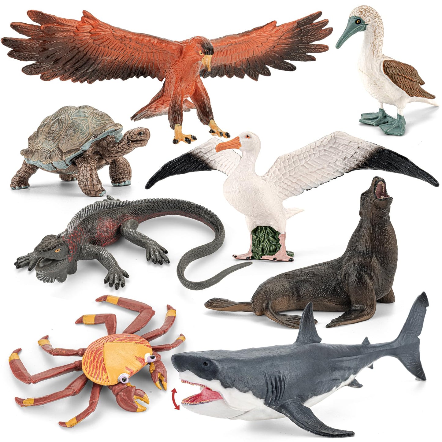 THINKBAY 8PCS Galapagos Island Animal Figurines Set | Realistic Ocean Toys