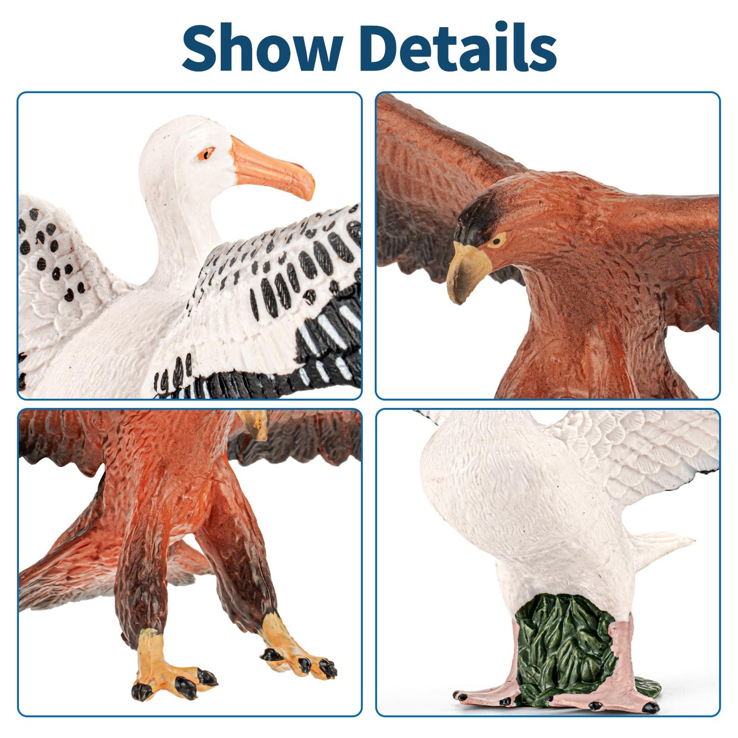 THINKBAY 8PCS Galapagos Island Animal Figurines Set | Realistic Ocean Toys