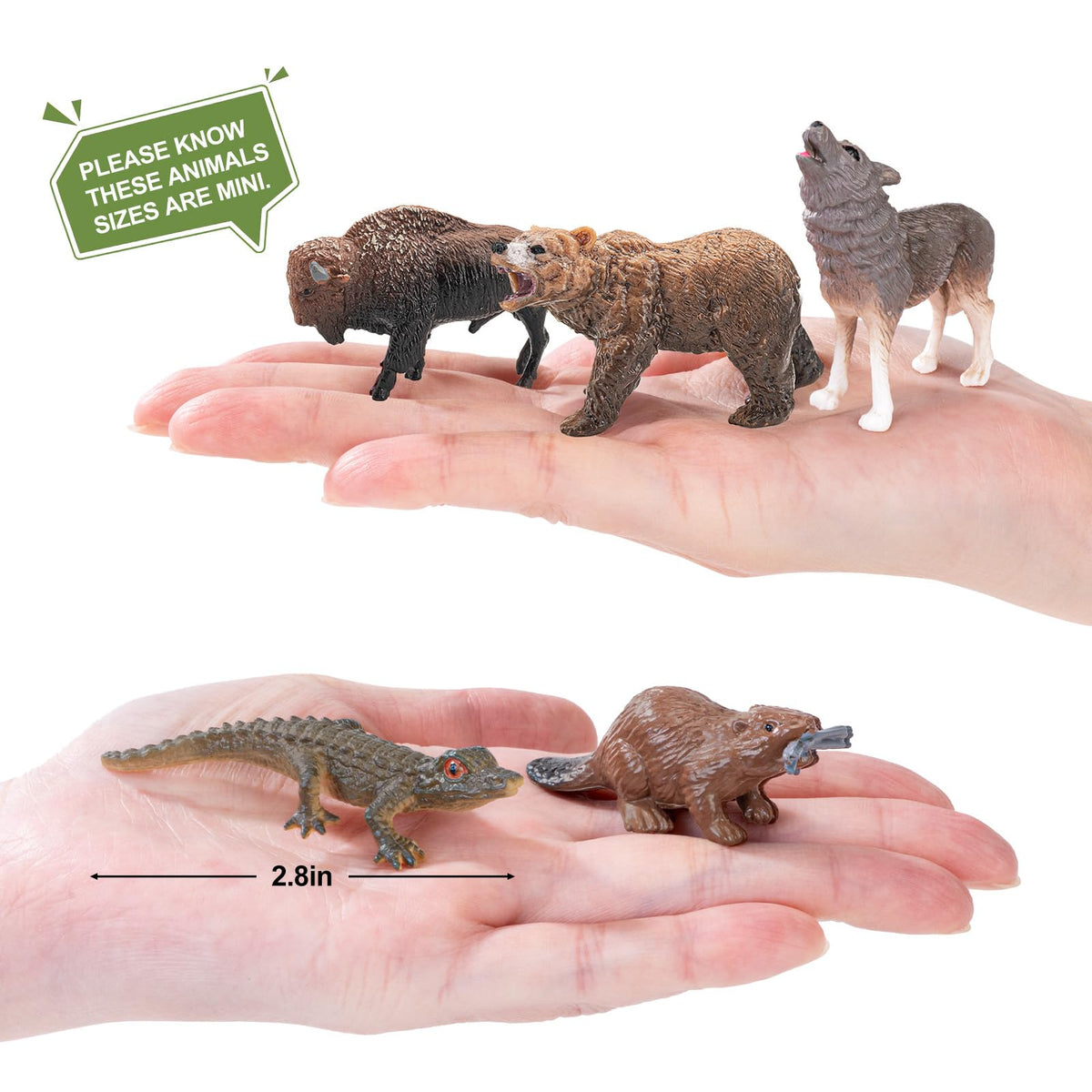 THINKBAY 16PCS Mini North American Woodland Animals Figurines – Realistic PVC Toys for Kids