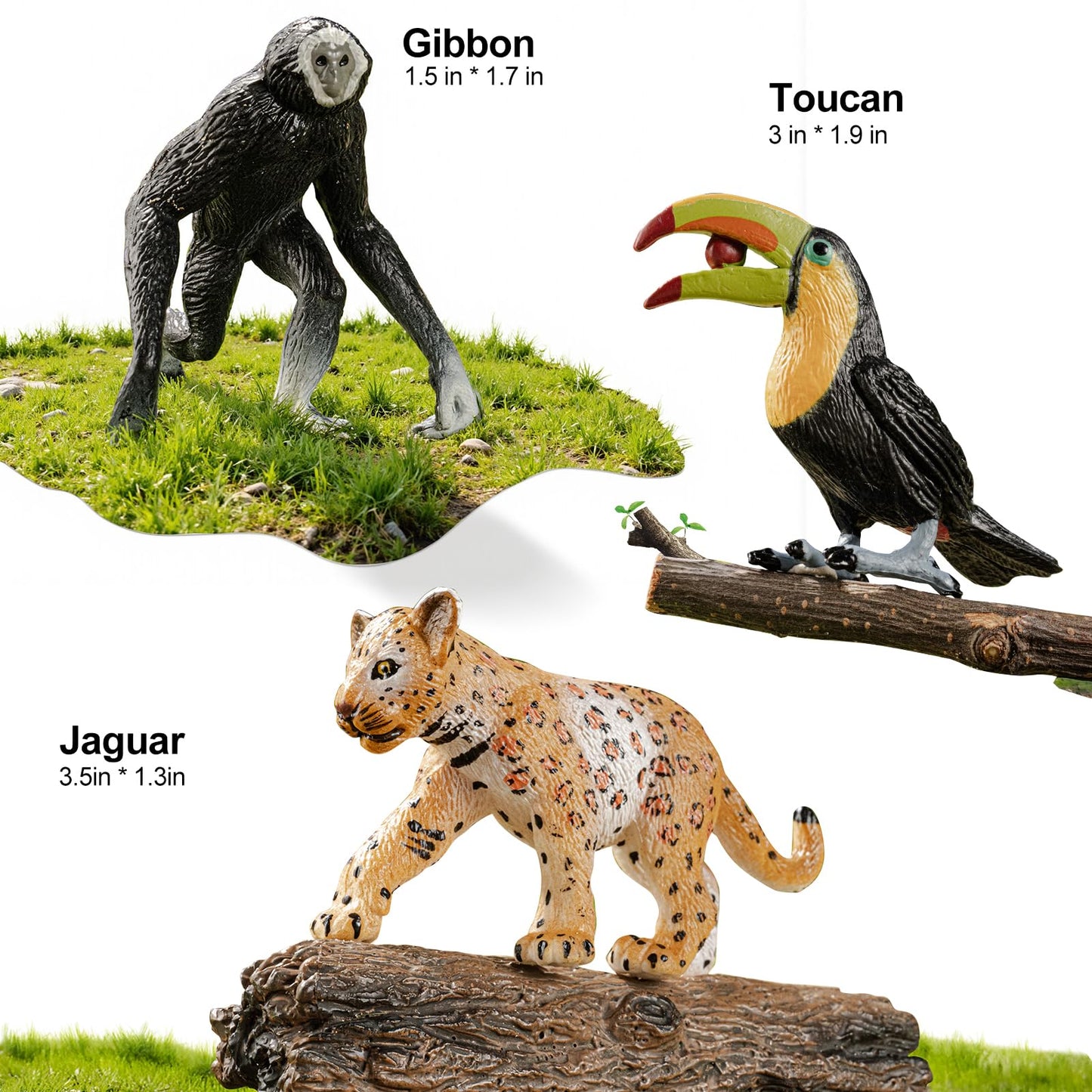 THINKBAY 12PCS Realistic Rainforest Animal Figures – Jungle Diorama & Learning Toys for Toddlers