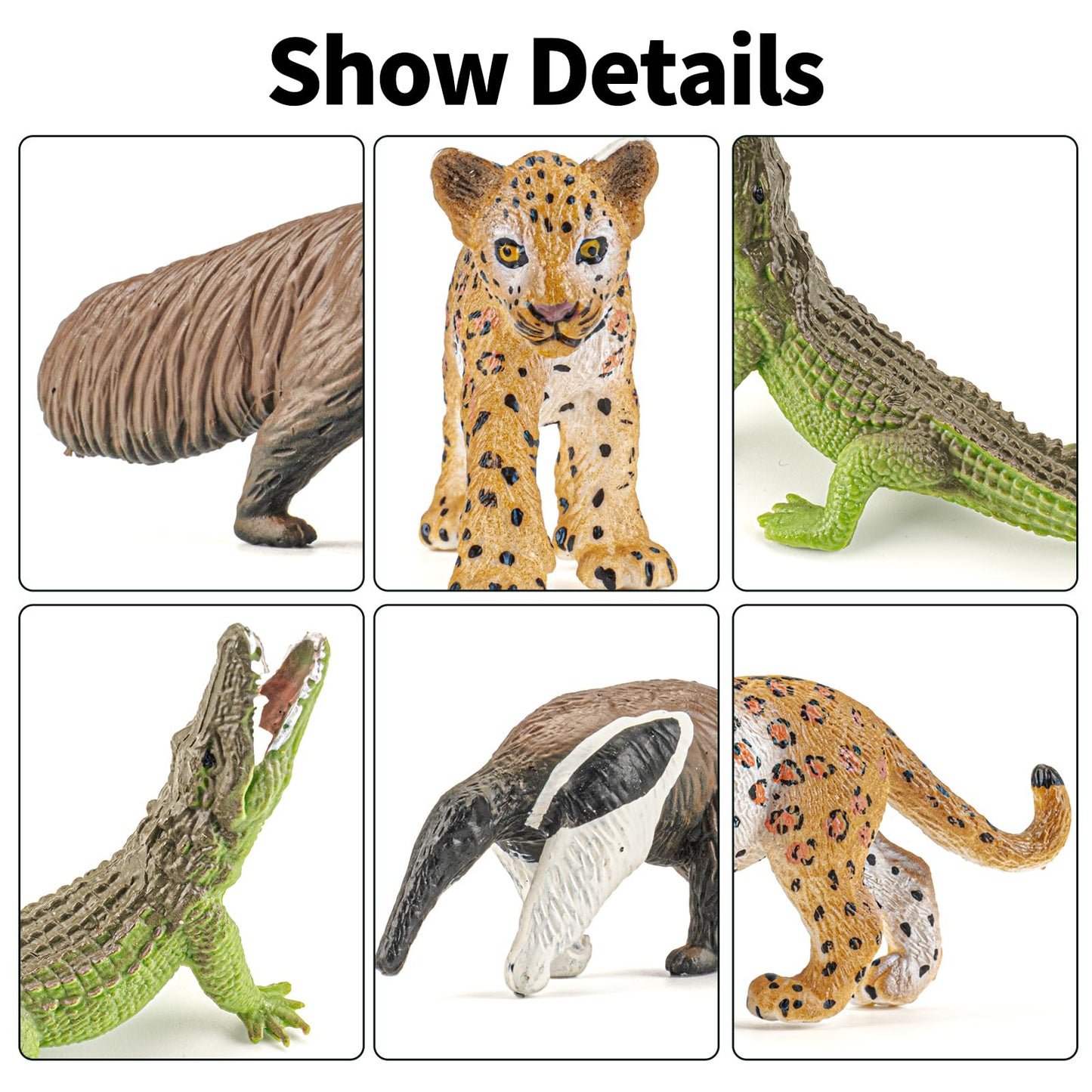 THINKBAY 12PCS Realistic Rainforest Animal Figures – Jungle Diorama & Learning Toys for Toddlers