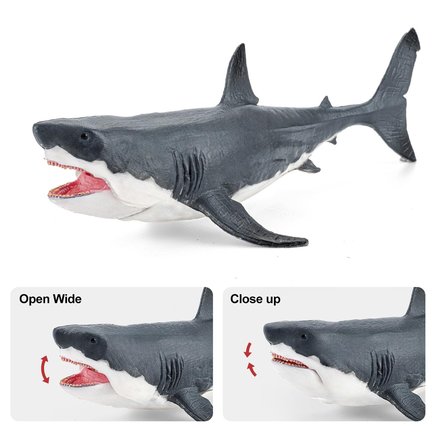 THINKBAY 8PCS Galapagos Island Animal Figurines Set | Realistic Ocean Toys