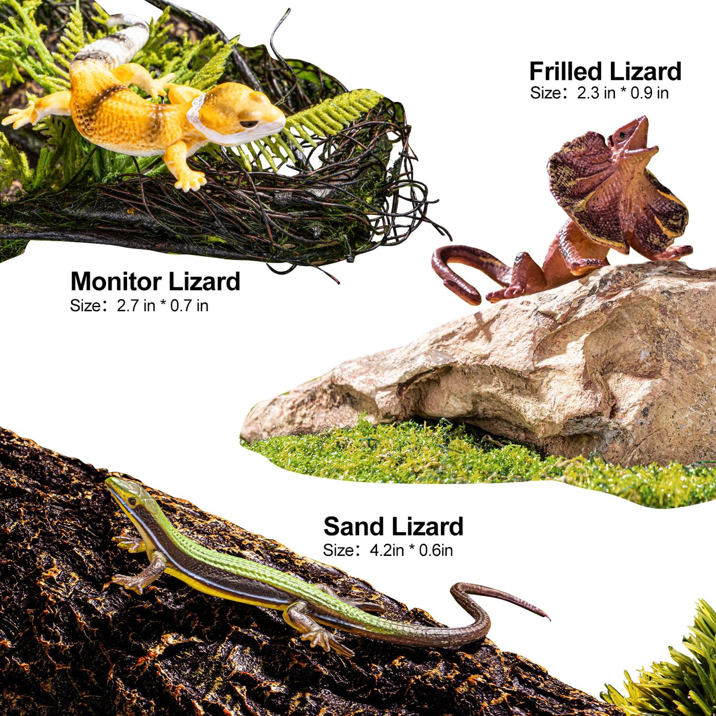 THINKBAY 14PCS Reptile & Amphibian Figurines - Realistic PVC Animals for Education, Dioramas & Play