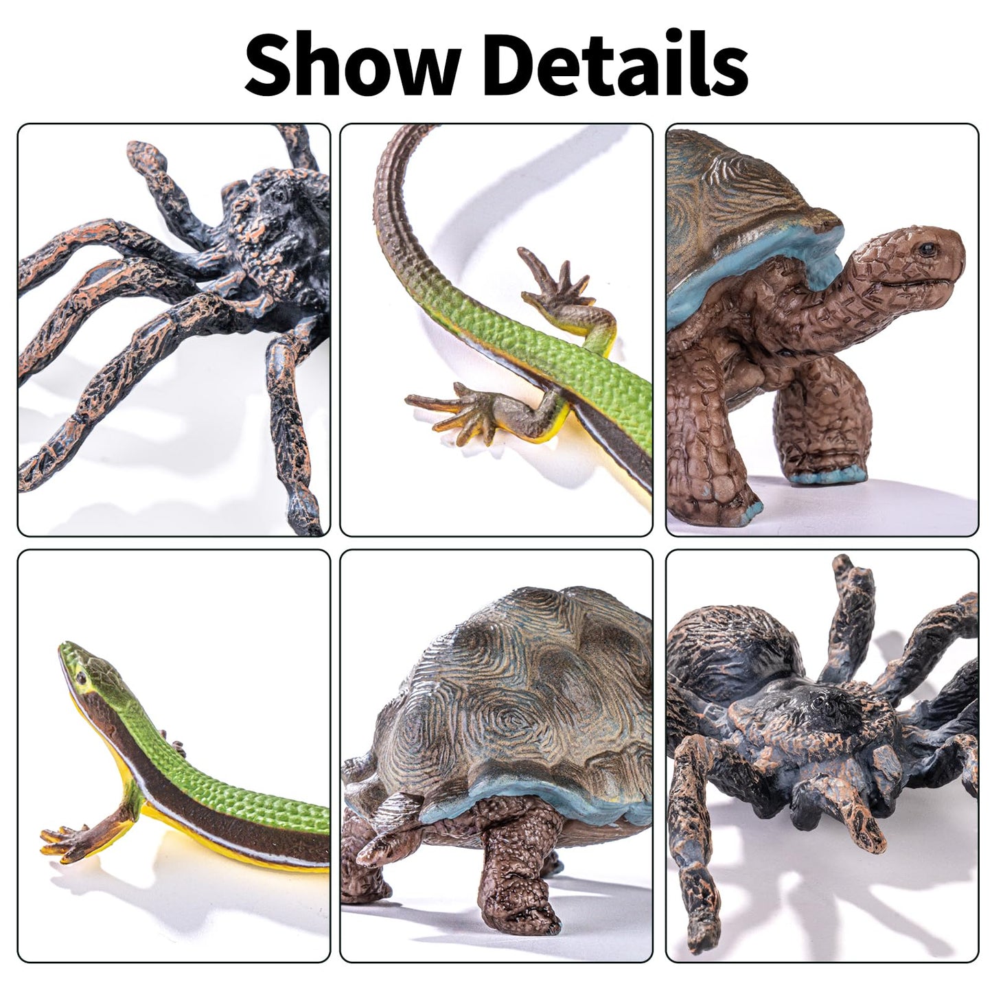 THINKBAY 14PCS Reptile & Amphibian Figurines - Realistic PVC Animals for Education, Dioramas & Play