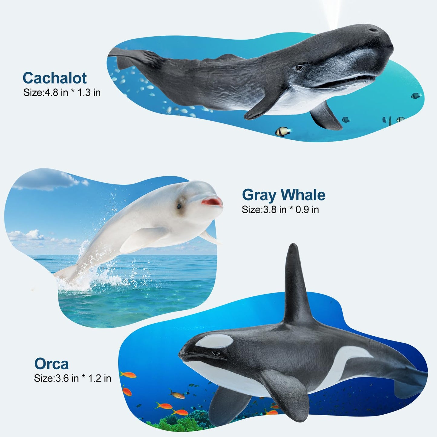 THINKBAY 8PCS Whale Figurines for Toddlers – Realistic Ocean Animals Toys (BPA-free PVC)