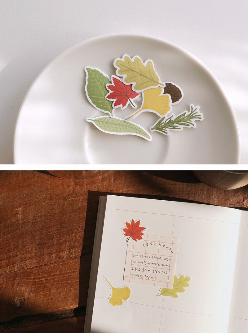 Suatelier | Leaves