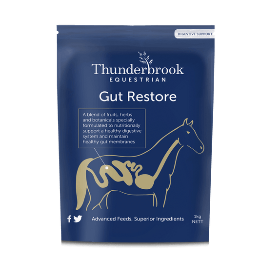 Thunderbrook Equestrian Gut Restore 3kg