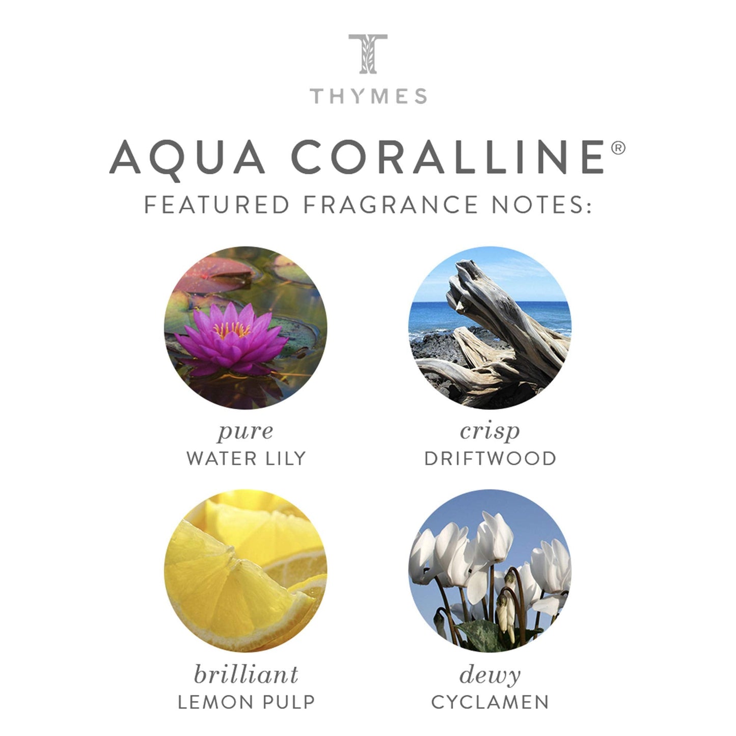 Thymes Aqua Coralline Cologne Pen - 0.34 Fl Oz | Ocean Breeze Scent, Travel-Ready