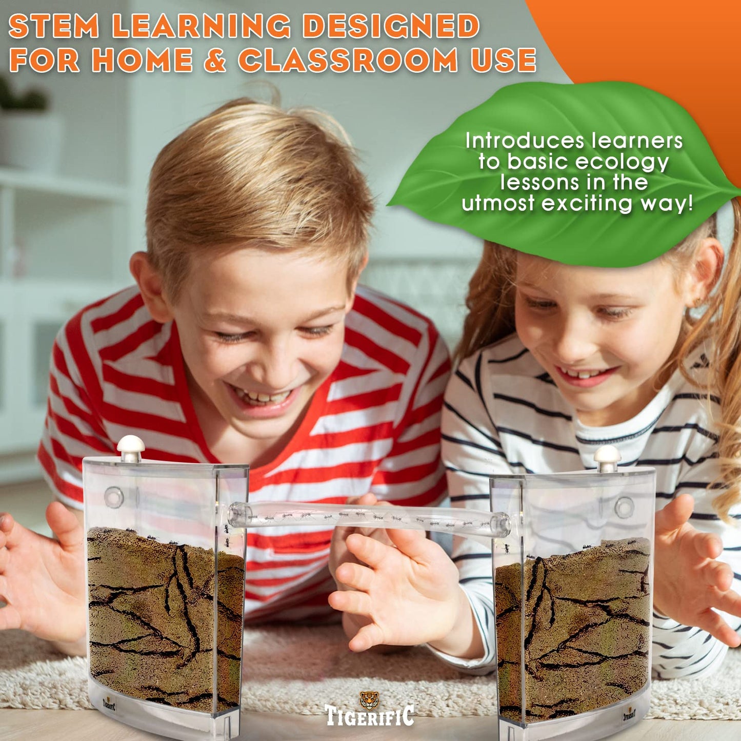 Tigerific Ant Farm for Kids – Real Sand Ant Colony Kit for Hands-On Science
