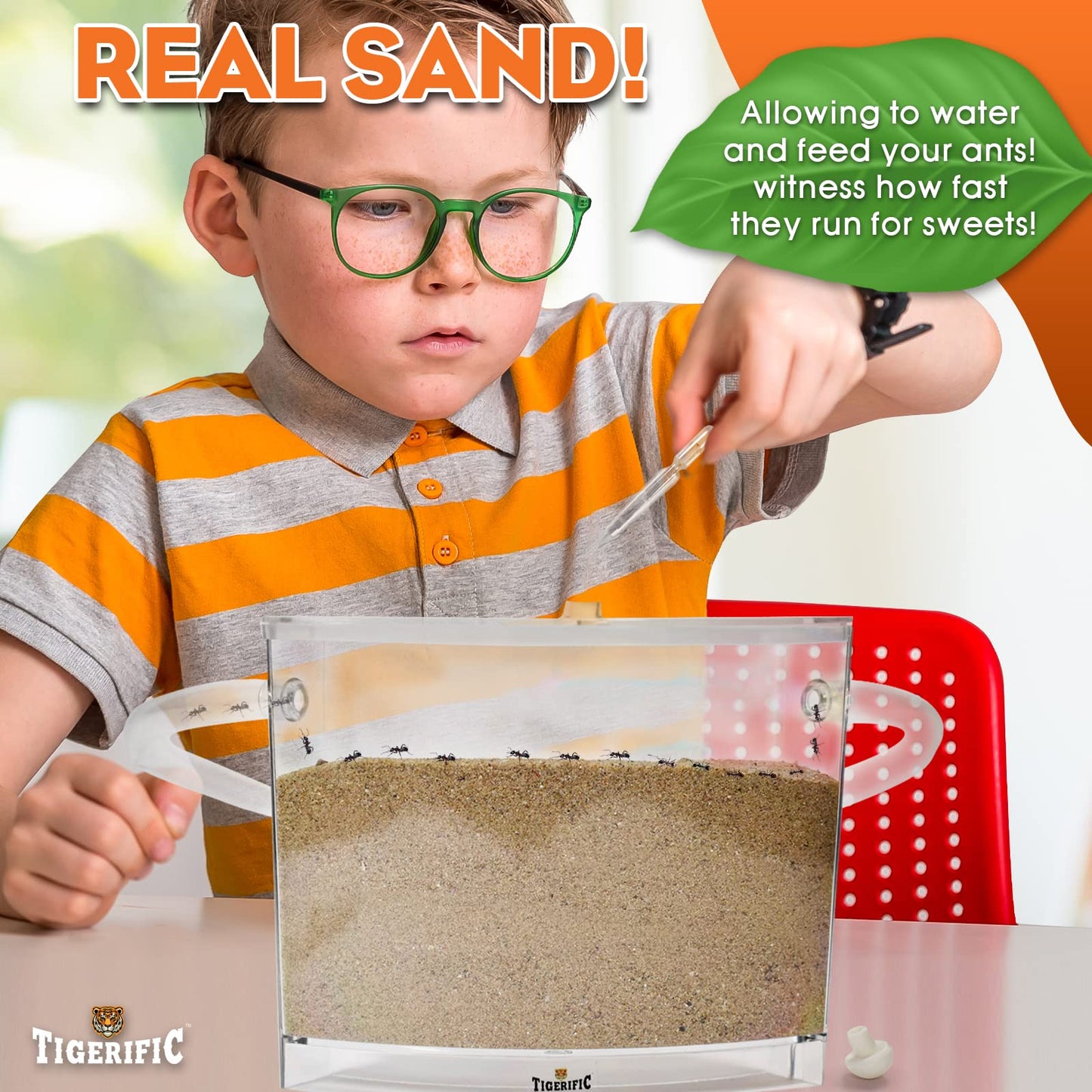 Tigerific Ant Farm for Kids – Real Sand Ant Colony Kit for Hands-On Science