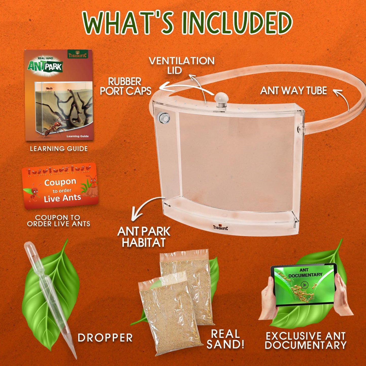Tigerific Ant Farm for Kids – Real Sand Ant Colony Kit for Hands-On Science
