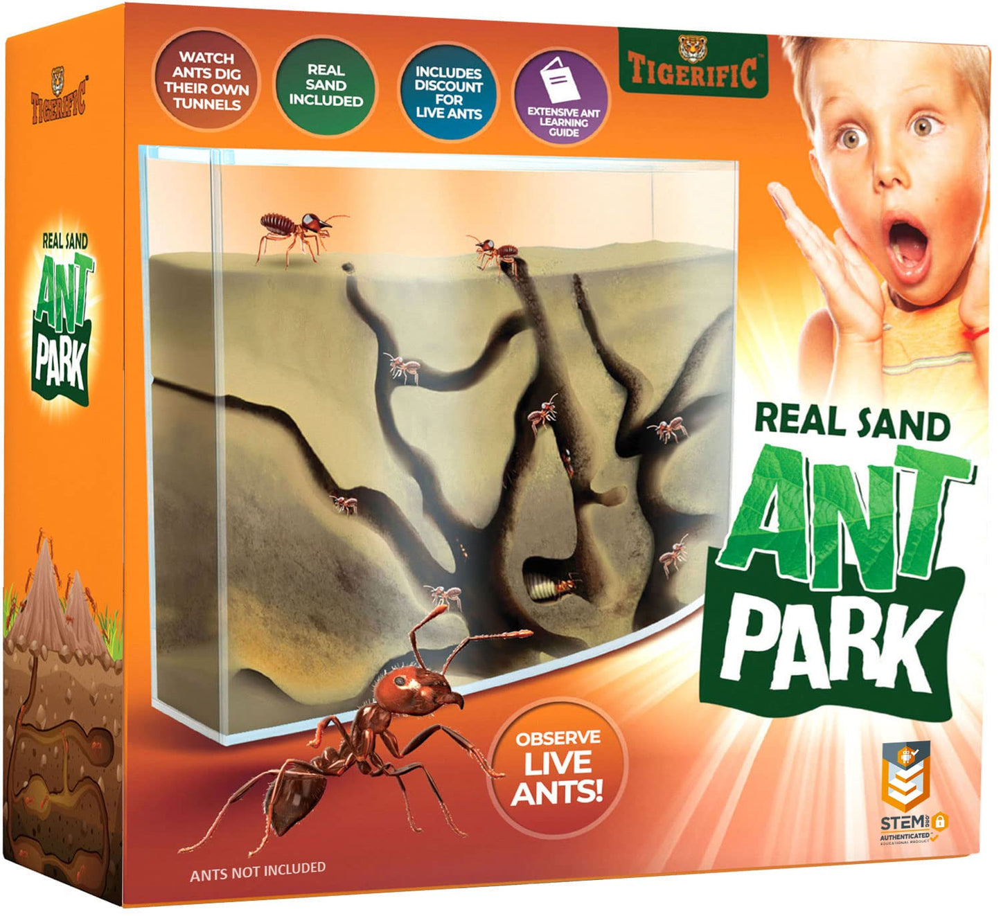 Tigerific Ant Farm for Kids – Real Sand Ant Colony Kit for Hands-On Science