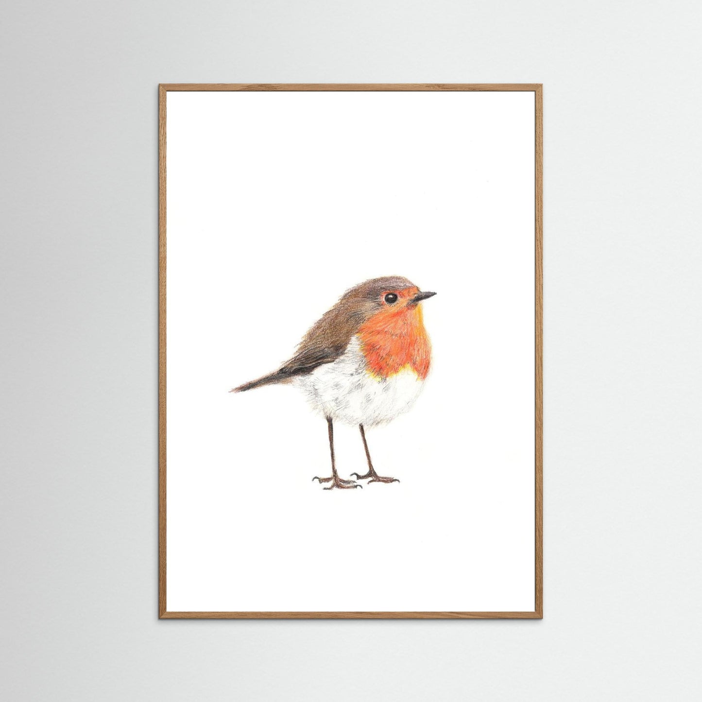 Robin Woodland Art Print