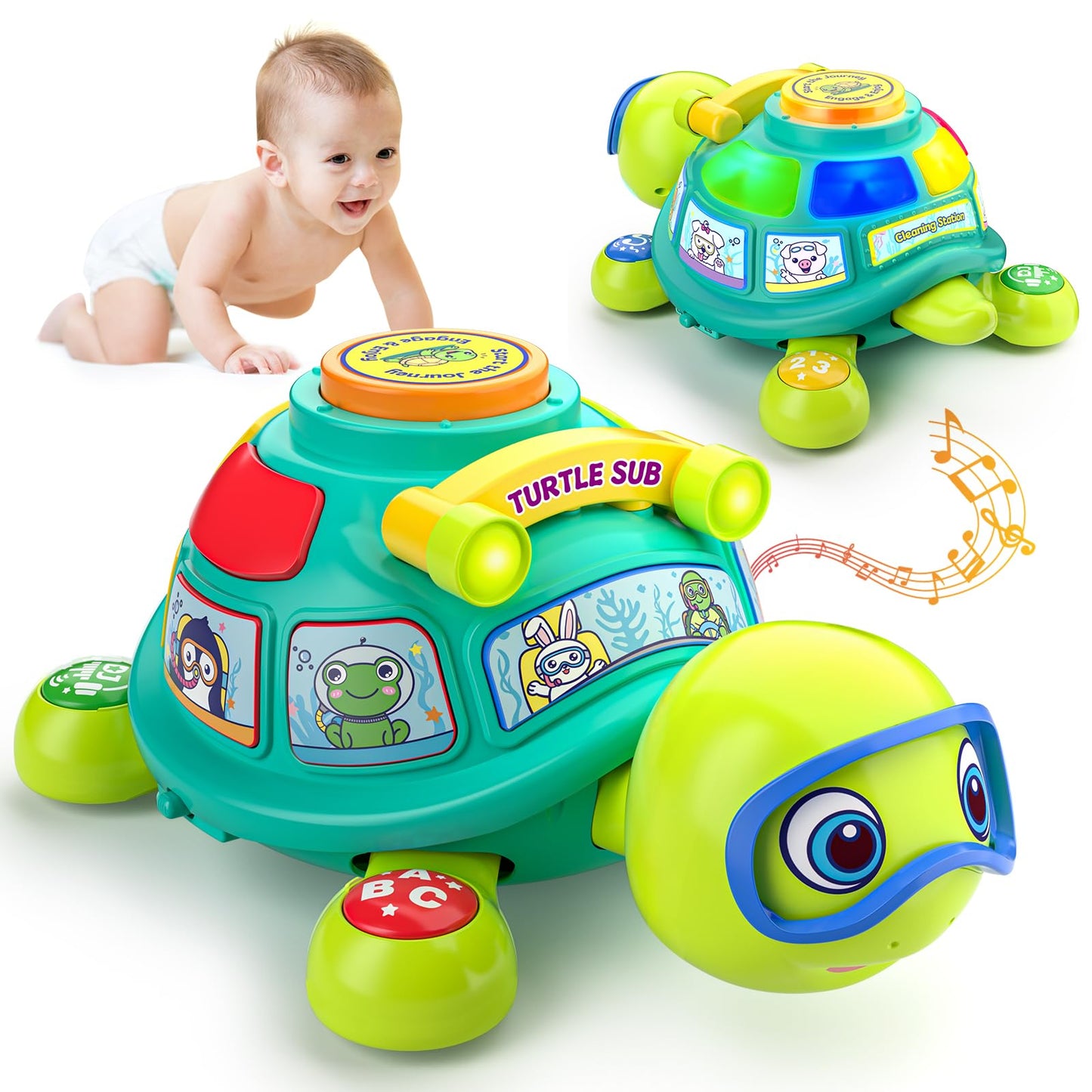 ToddlerCley Musical Turtle Toy – 6-12 Months, Bilingual Learning, Light-Up Sounds, Numbers & Letters