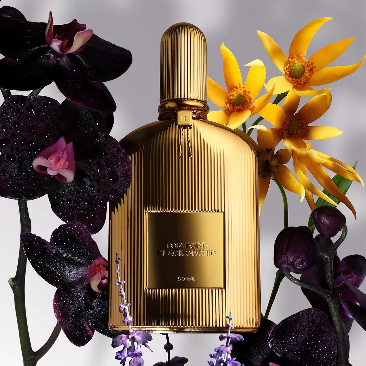 Tom Ford Black Orchid Parfum 50ml Spray