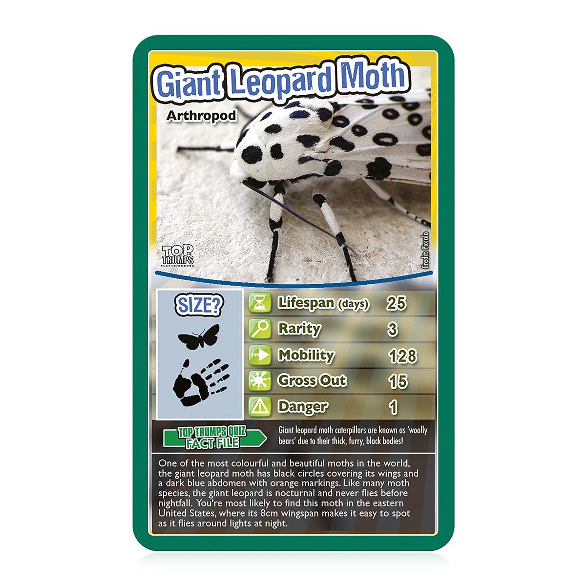 Top Trumps Bugs Classics Card Game – Educational Gift for Kids 6+ (Black Widow, Tarantula, Praying Mantis & Ladybird) – 2+ Players