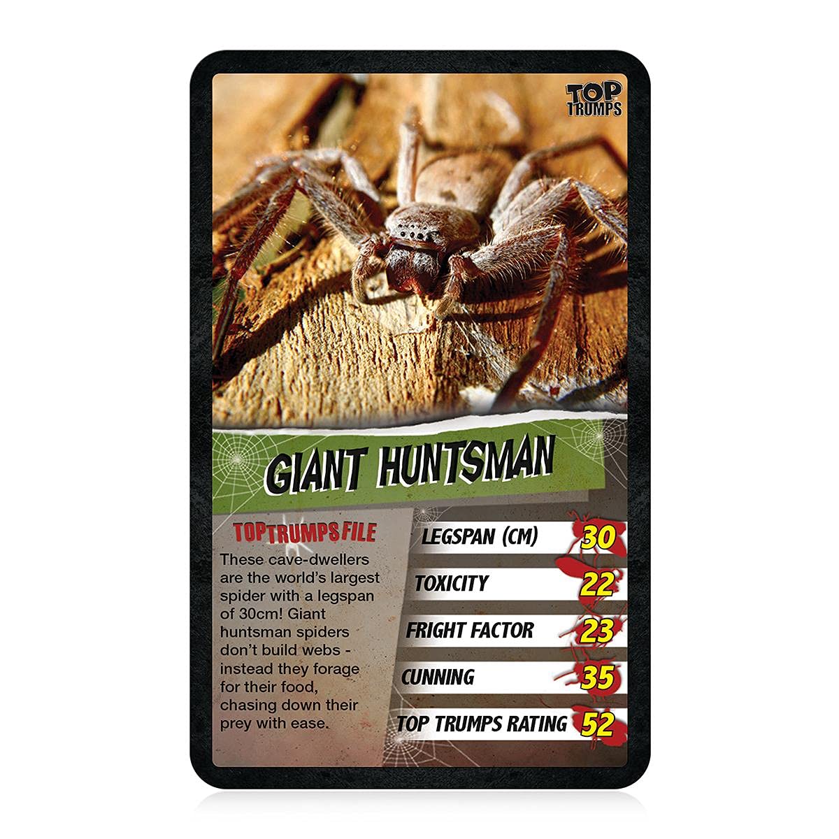 Top Trumps Spiders Classics Card Game – Goliath Bird Eater, Black Widow & Wheel Spider | 2+ Players | Ages 6+