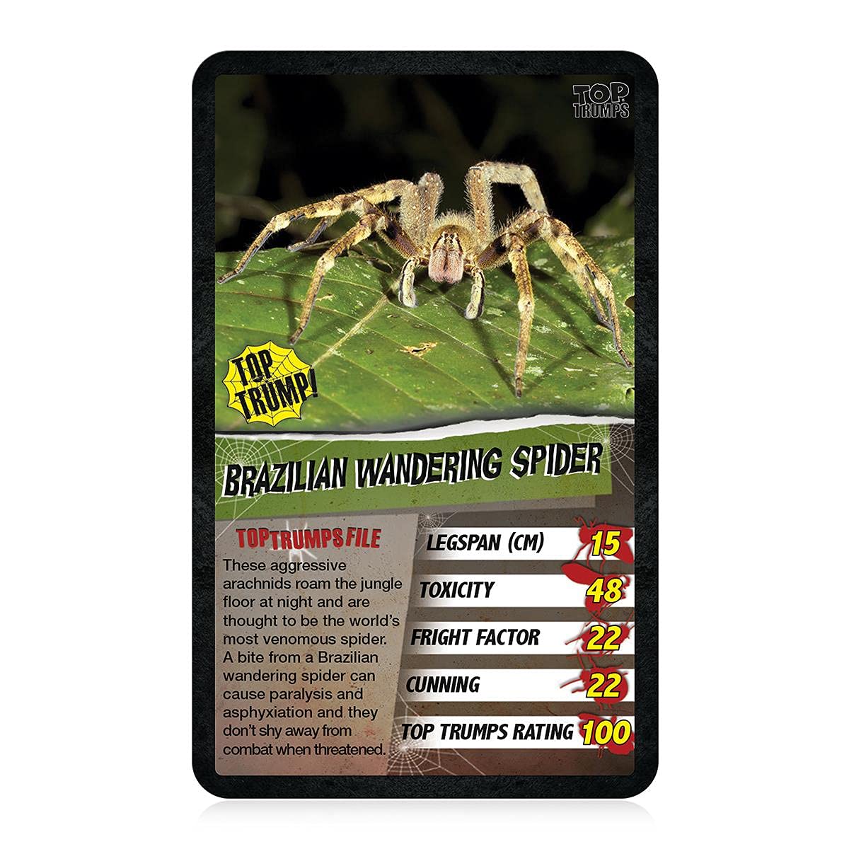 Top Trumps Spiders Classics Card Game – Goliath Bird Eater, Black Widow & Wheel Spider | 2+ Players | Ages 6+